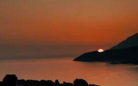 Sunset Serenity